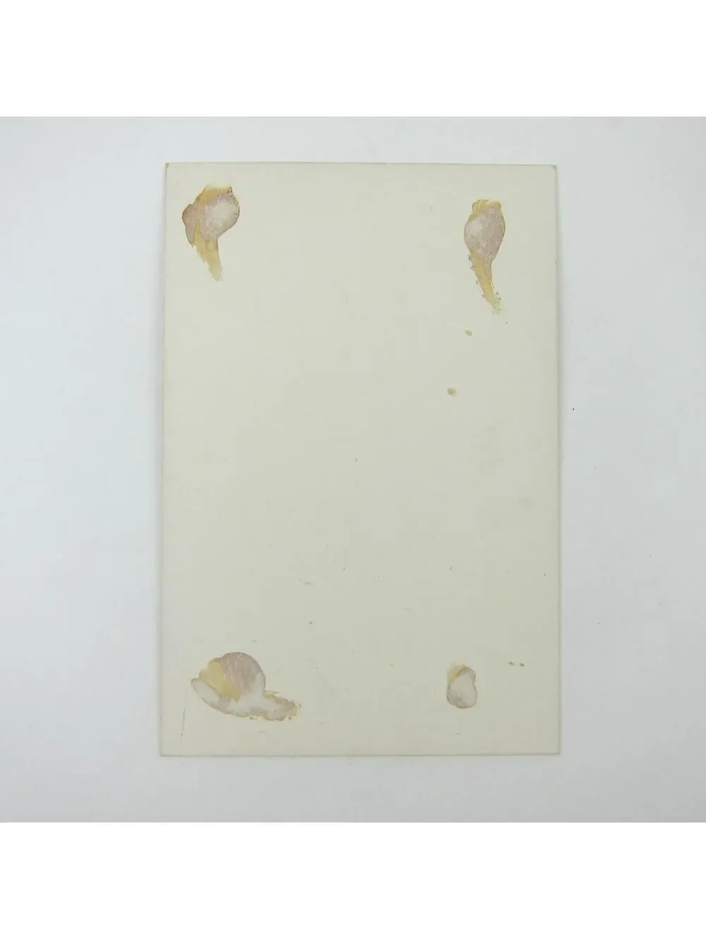 Victorian Greeting Card Birthday White & Pink Roses Flowers Antique